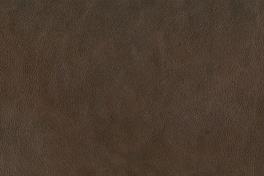 Patina 041