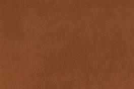 Rodeo 042