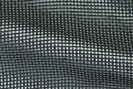 Sheen 031