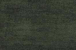 Terra 031