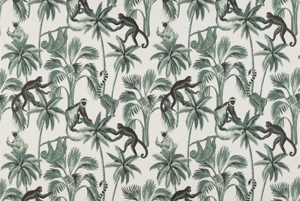 Tropic 039