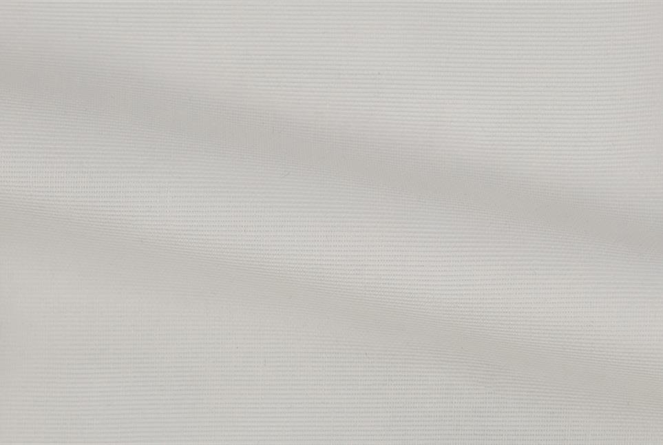 Veil 013