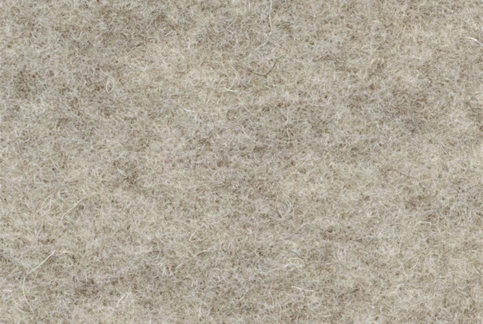 Wooly 010