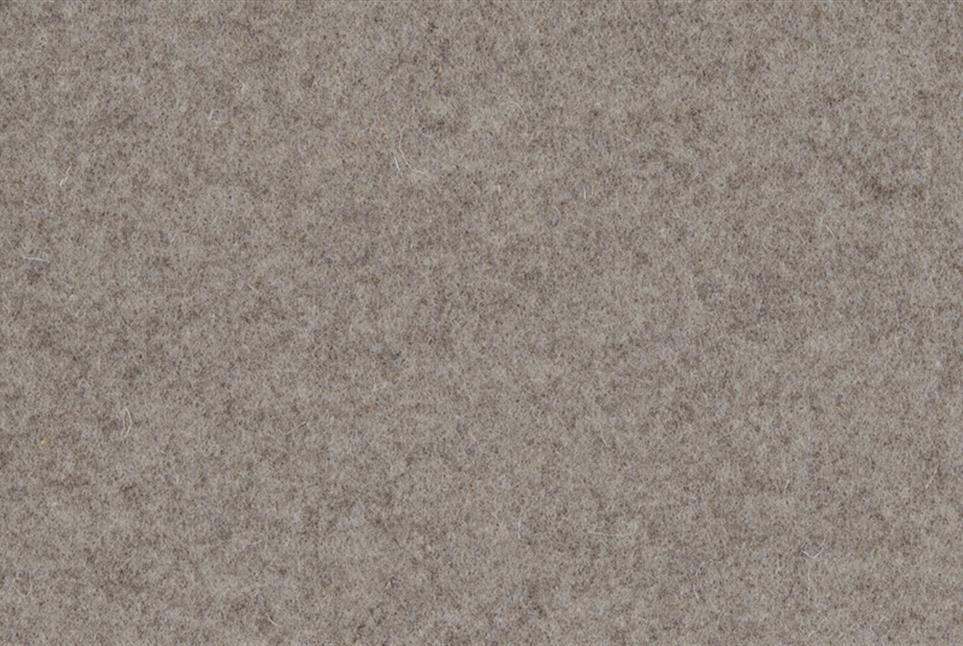 Wooly 041