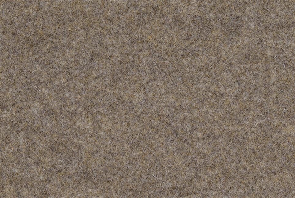 Wooly 043