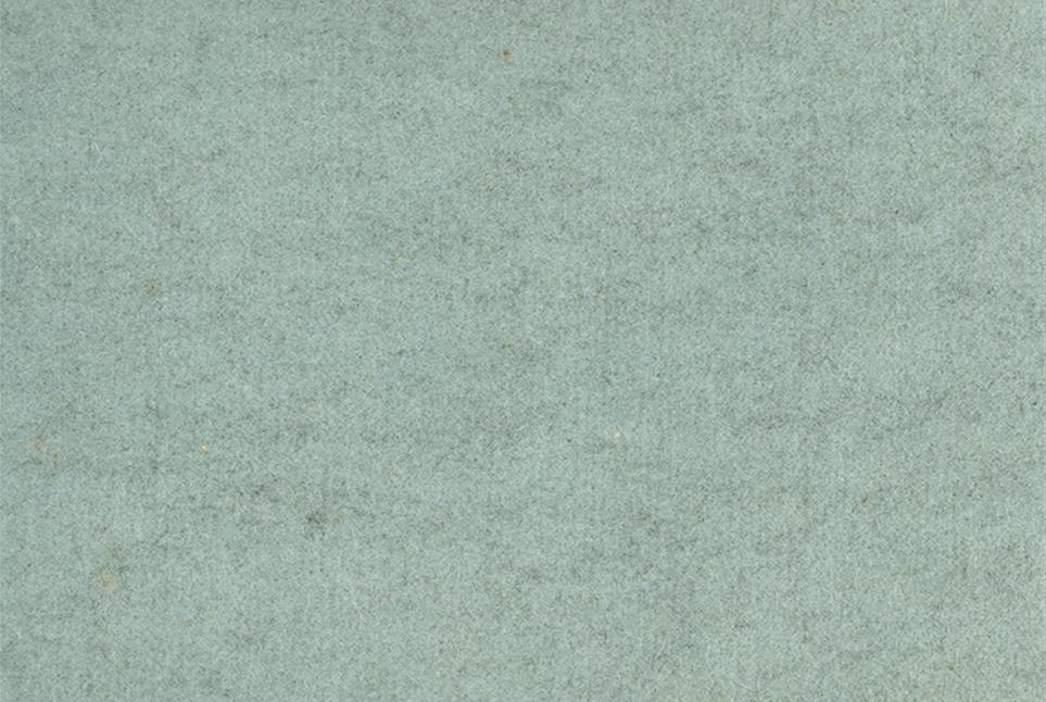 Wooly 090